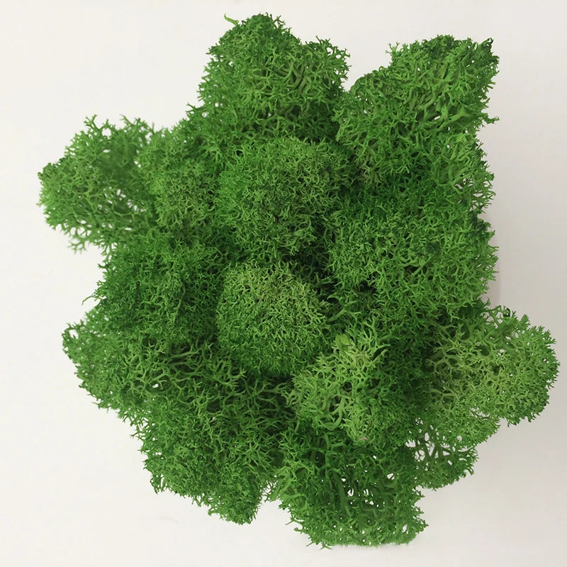 Cheap500/200/100g Eternal Moss HI-Q Artificial Immortal Moss Grass Green Plant Flower DIY Deco Home Handscape Plants Wall Garden