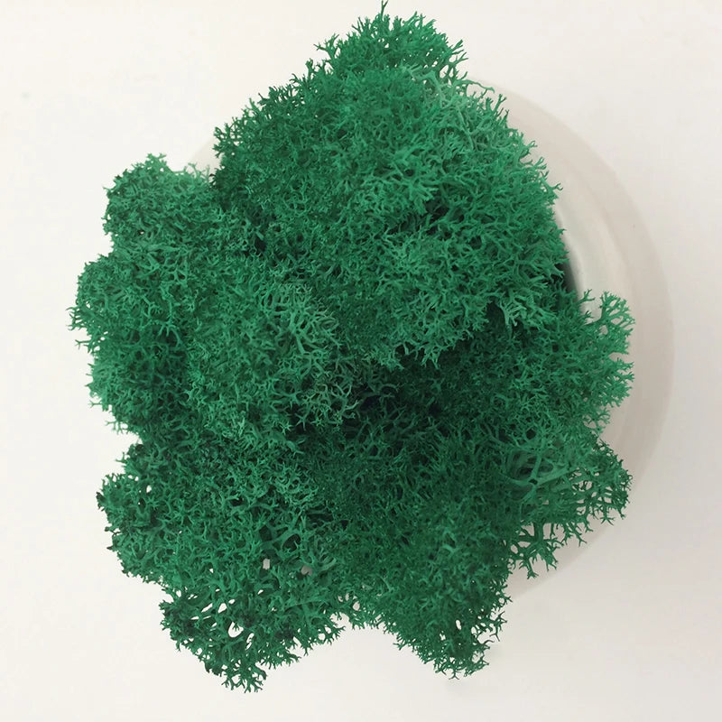 Cheap500/200/100g Eternal Moss HI-Q Artificial Immortal Moss Grass Green Plant Flower DIY Deco Home Handscape Plants Wall Garden