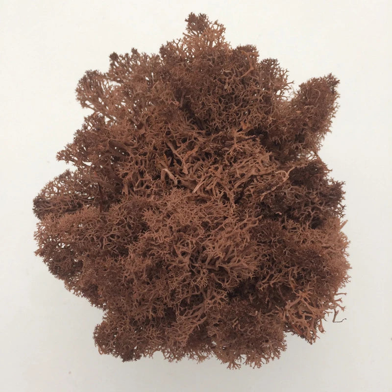 Cheap500/200/100g Eternal Moss HI-Q Artificial Immortal Moss Grass Green Plant Flower DIY Deco Home Handscape Plants Wall Garden