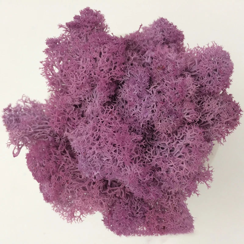 Cheap500/200/100g Eternal Moss HI-Q Artificial Immortal Moss Grass Green Plant Flower DIY Deco Home Handscape Plants Wall Garden