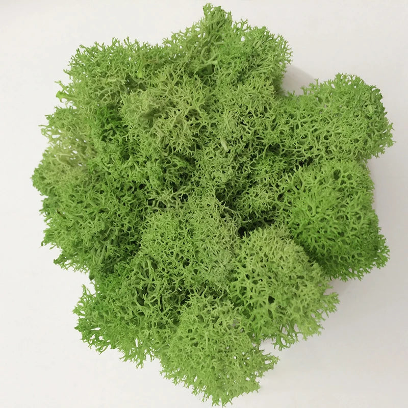 Cheap500/200/100g Eternal Moss HI-Q Artificial Immortal Moss Grass Green Plant Flower DIY Deco Home Handscape Plants Wall Garden