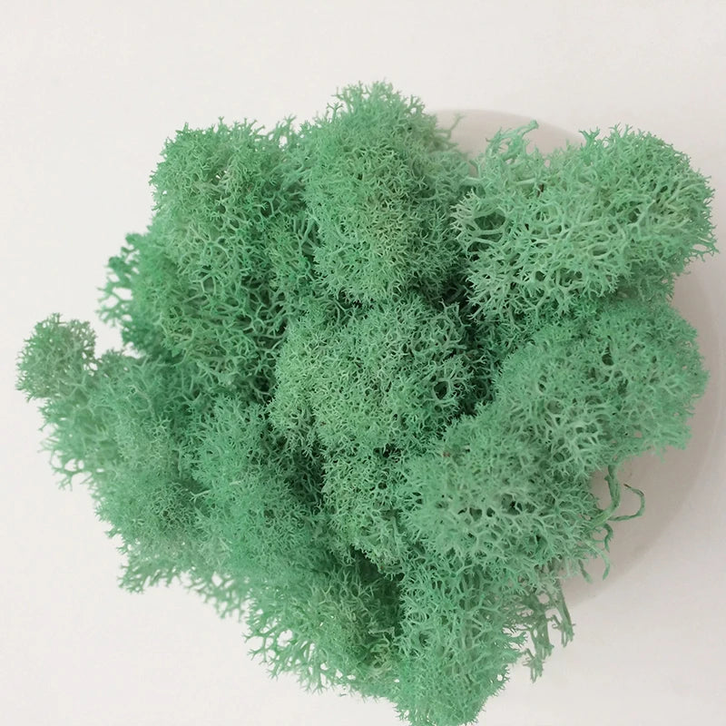 Cheap500/200/100g Eternal Moss HI-Q Artificial Immortal Moss Grass Green Plant Flower DIY Deco Home Handscape Plants Wall Garden