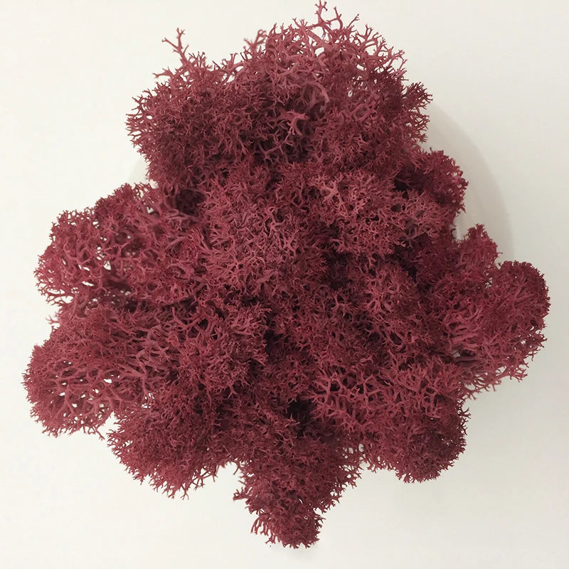 Cheap500/200/100g Eternal Moss HI-Q Artificial Immortal Moss Grass Green Plant Flower DIY Deco Home Handscape Plants Wall Garden