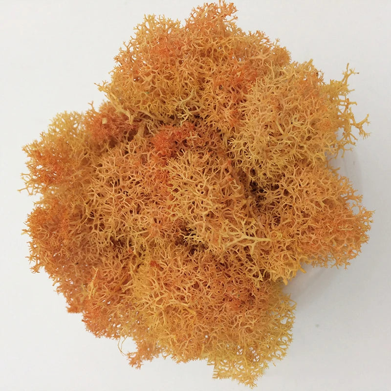 Cheap500/200/100g Eternal Moss HI-Q Artificial Immortal Moss Grass Green Plant Flower DIY Deco Home Handscape Plants Wall Garden