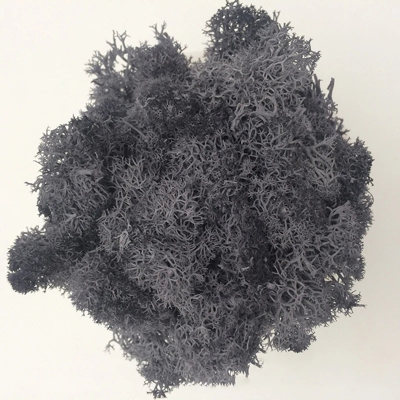 Cheap500/200/100g Eternal Moss HI-Q Artificial Immortal Moss Grass Green Plant Flower DIY Deco Home Handscape Plants Wall Garden