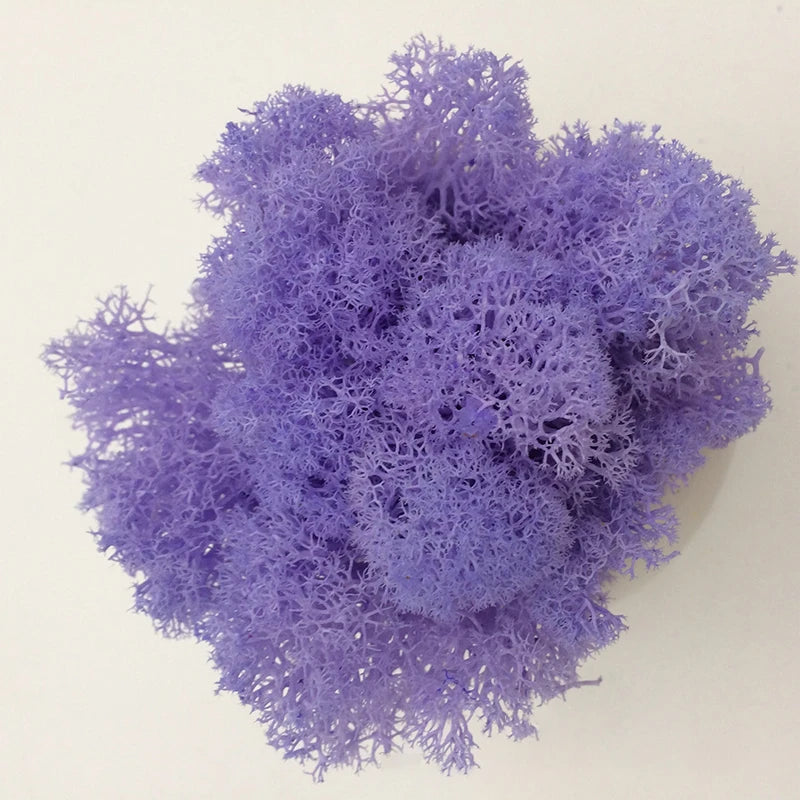 Cheap500/200/100g Eternal Moss HI-Q Artificial Immortal Moss Grass Green Plant Flower DIY Deco Home Handscape Plants Wall Garden