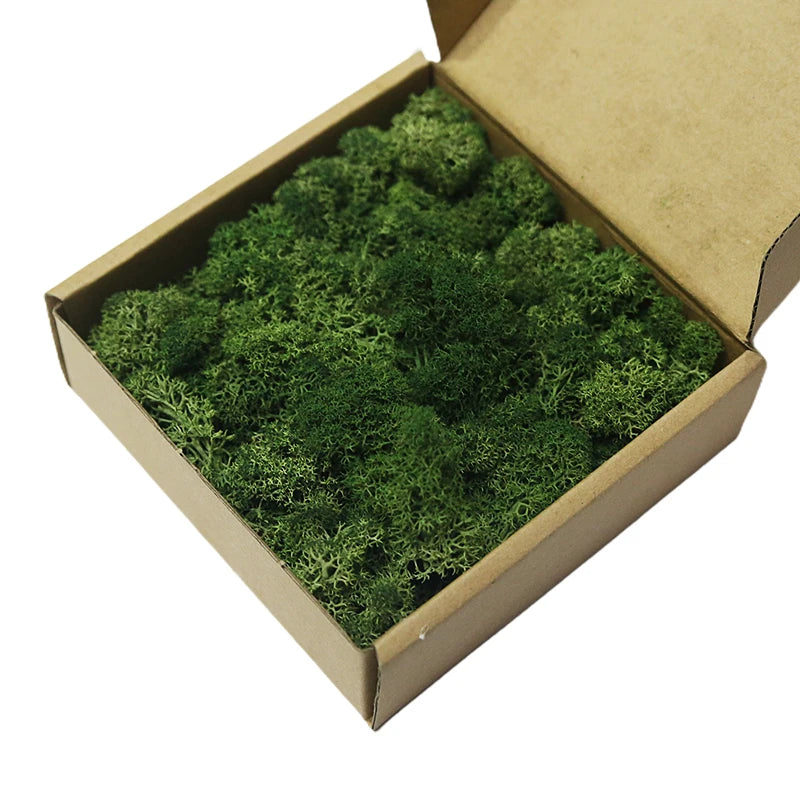 Cheap500/200/100g Eternal Moss HI-Q Artificial Immortal Moss Grass Green Plant Flower DIY Deco Home Handscape Plants Wall Garden