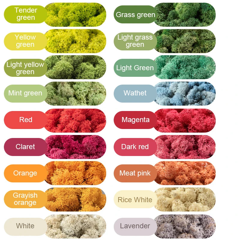 Cheap500/200/100g Eternal Moss HI-Q Artificial Immortal Moss Grass Green Plant Flower DIY Deco Home Handscape Plants Wall Garden