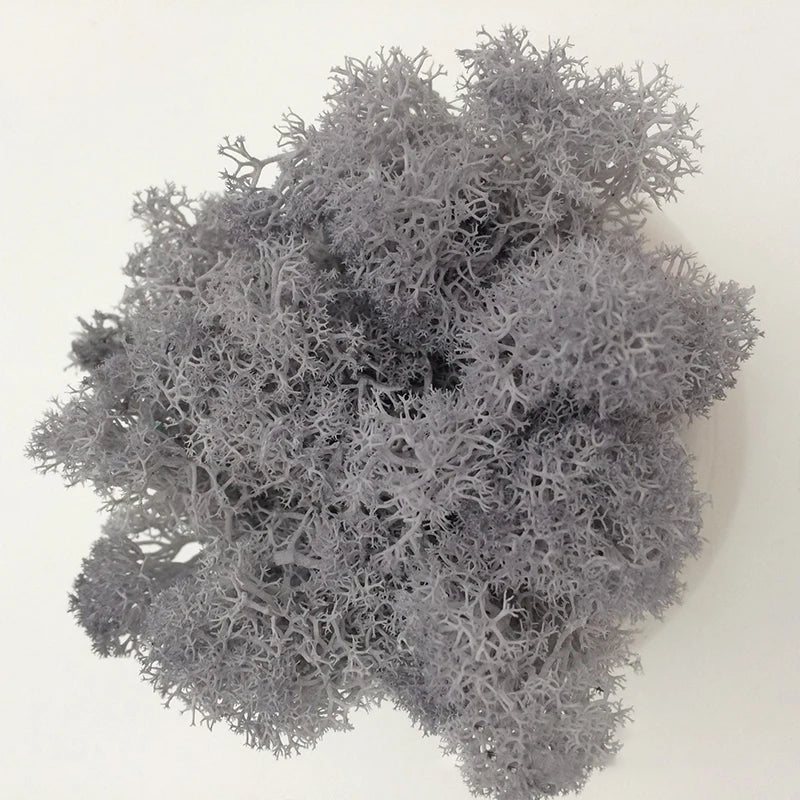 Cheap500/200/100g Eternal Moss HI-Q Artificial Immortal Moss Grass Green Plant Flower DIY Deco Home Handscape Plants Wall Garden