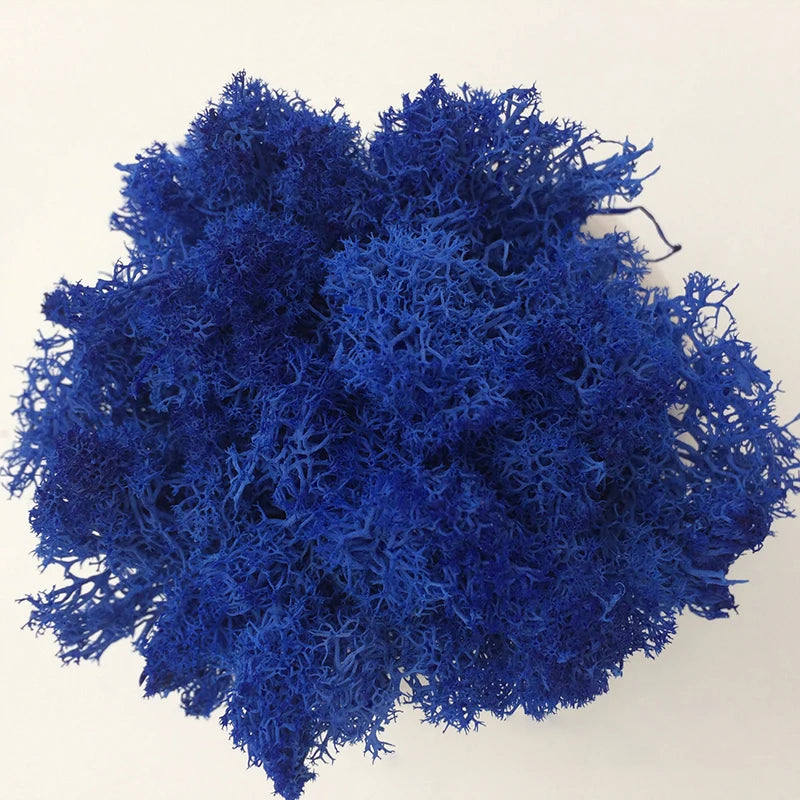 Cheap500/200/100g Eternal Moss HI-Q Artificial Immortal Moss Grass Green Plant Flower DIY Deco Home Handscape Plants Wall Garden