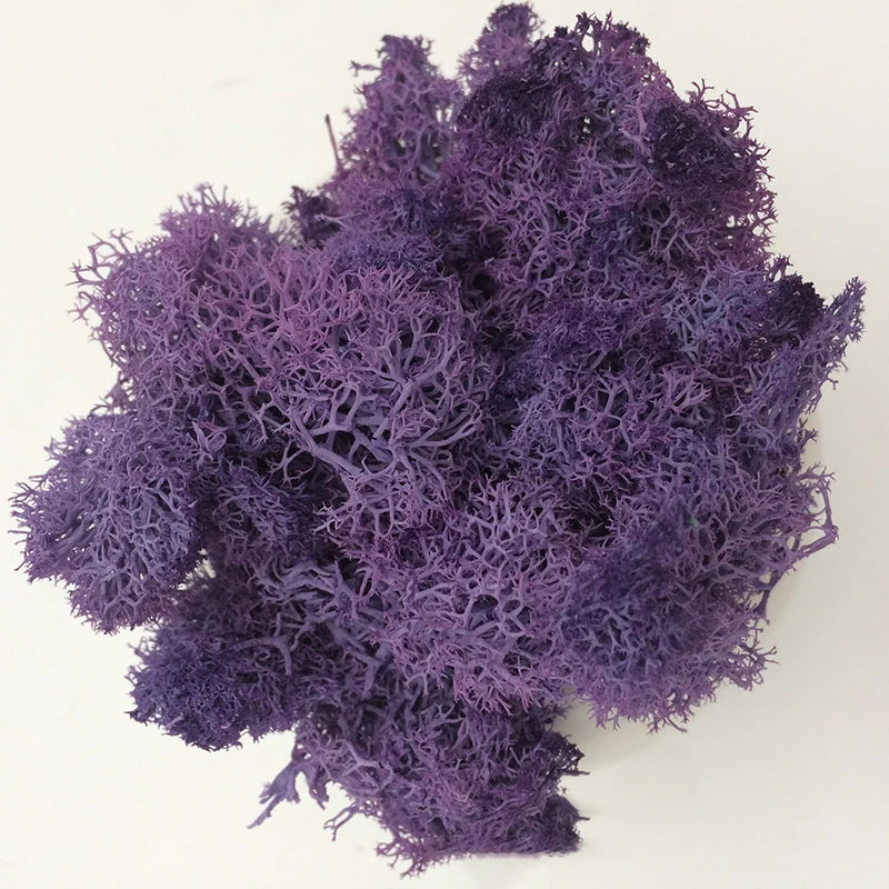 Cheap500/200/100g Eternal Moss HI-Q Artificial Immortal Moss Grass Green Plant Flower DIY Deco Home Handscape Plants Wall Garden