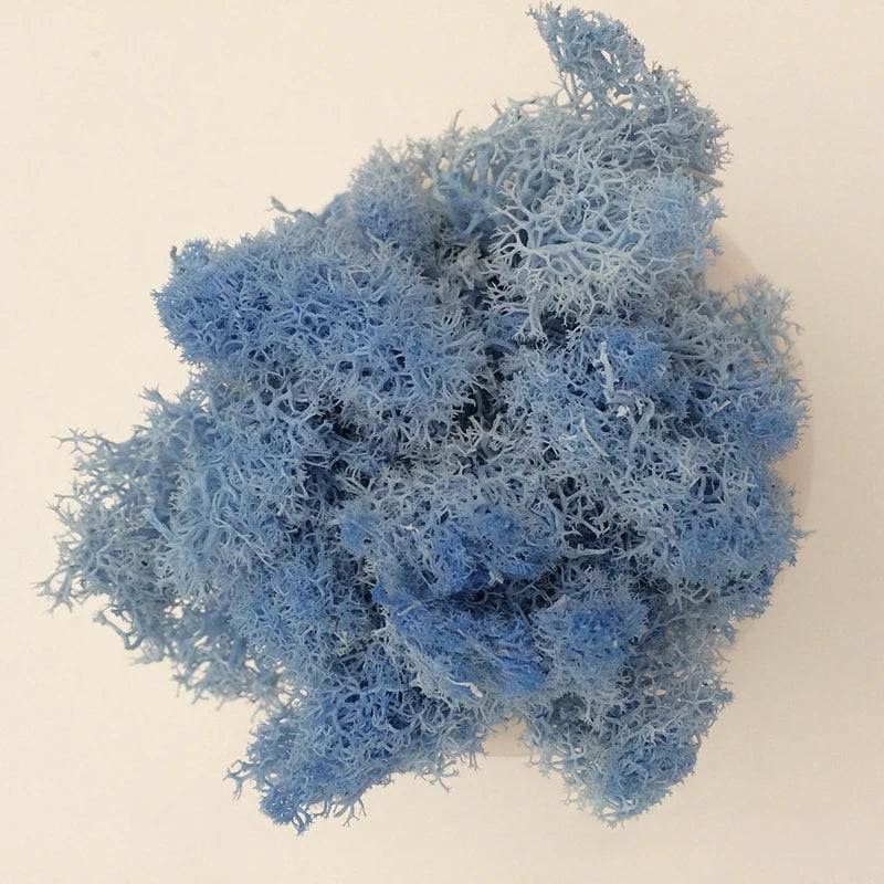 Cheap500/200/100g Eternal Moss HI-Q Artificial Immortal Moss Grass Green Plant Flower DIY Deco Home Handscape Plants Wall Garden