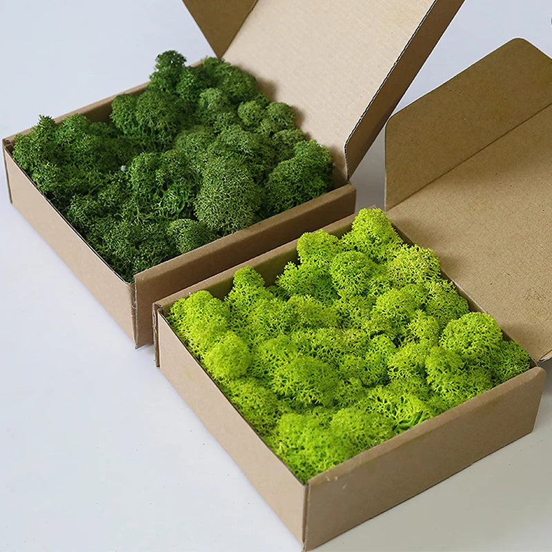 Cheap500/200/100g Eternal Moss HI-Q Artificial Immortal Moss Grass Green Plant Flower DIY Deco Home Handscape Plants Wall Garden