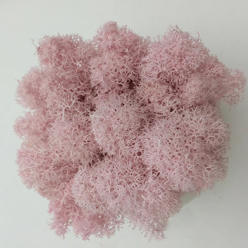 Cheap500/200/100g Eternal Moss HI-Q Artificial Immortal Moss Grass Green Plant Flower DIY Deco Home Handscape Plants Wall Garden