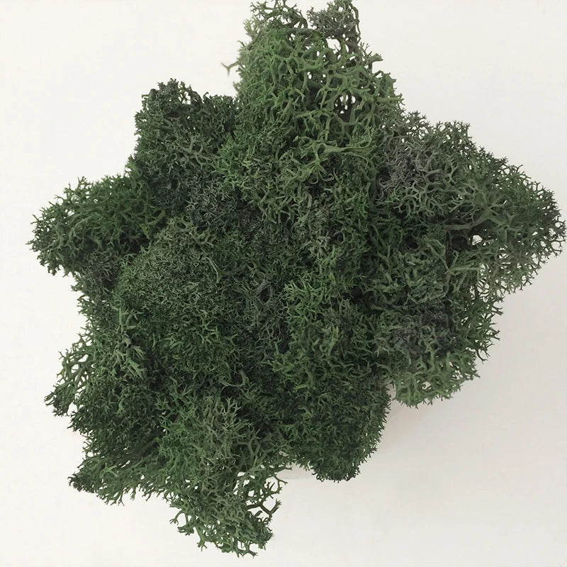 Cheap500/200/100g Eternal Moss HI-Q Artificial Immortal Moss Grass Green Plant Flower DIY Deco Home Handscape Plants Wall Garden