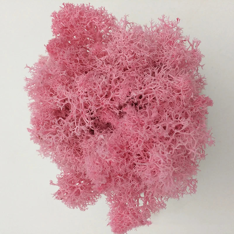 Cheap500/200/100g Eternal Moss HI-Q Artificial Immortal Moss Grass Green Plant Flower DIY Deco Home Handscape Plants Wall Garden