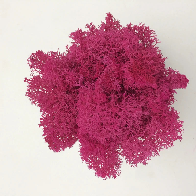 Cheap500/200/100g Eternal Moss HI-Q Artificial Immortal Moss Grass Green Plant Flower DIY Deco Home Handscape Plants Wall Garden