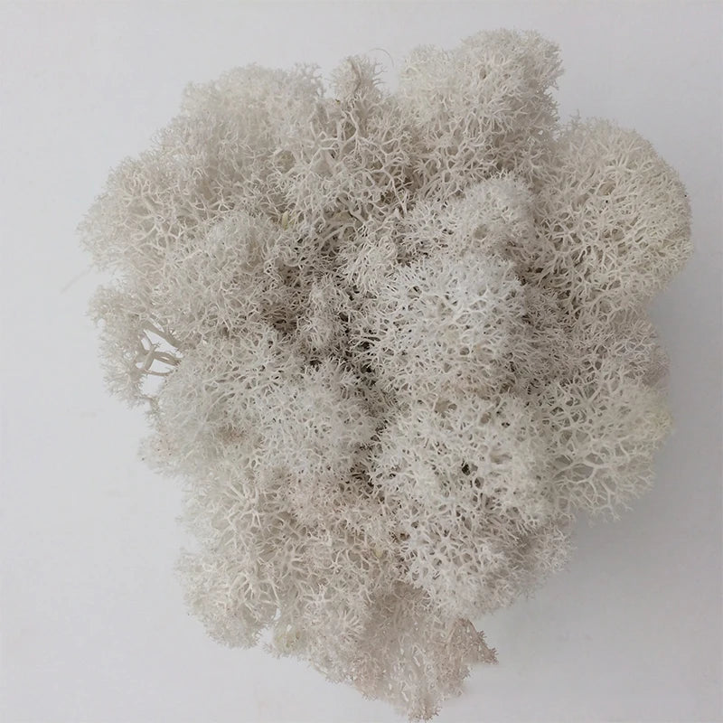 Cheap500/200/100g Eternal Moss HI-Q Artificial Immortal Moss Grass Green Plant Flower DIY Deco Home Handscape Plants Wall Garden