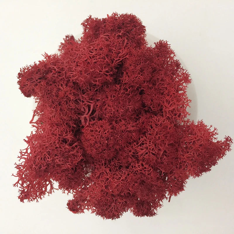 Cheap500/200/100g Eternal Moss HI-Q Artificial Immortal Moss Grass Green Plant Flower DIY Deco Home Handscape Plants Wall Garden