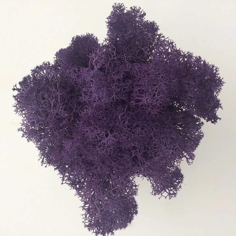 Cheap500/200/100g Eternal Moss HI-Q Artificial Immortal Moss Grass Green Plant Flower DIY Deco Home Handscape Plants Wall Garden